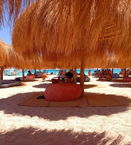 HULA HULA / Paradise Island